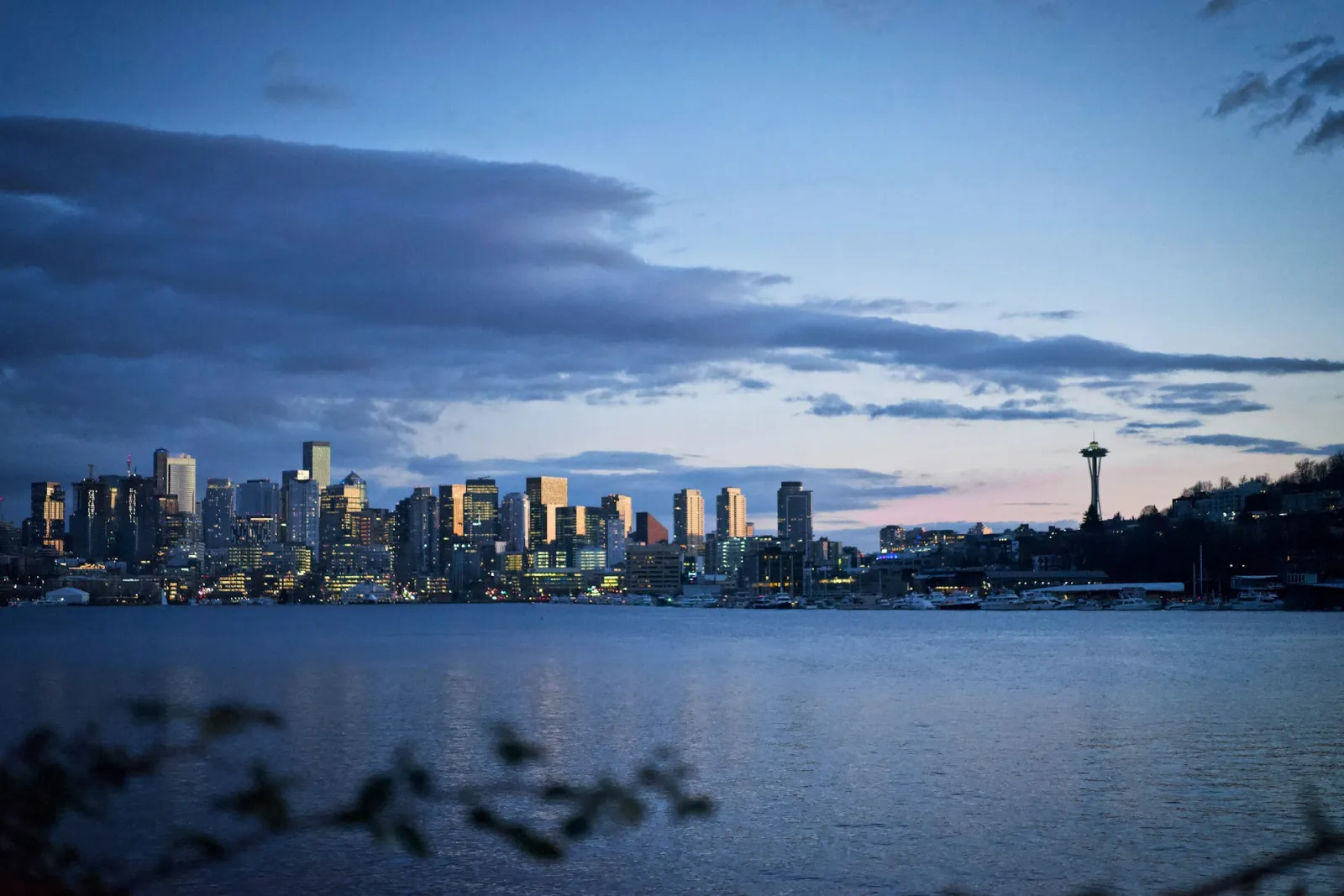 Timberlane Partners, PCCP Acquire 532-Unit Jackson Apartments in Seattle for $173MM